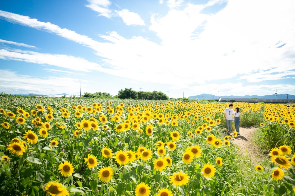 フォトウェディング　山陽小野田市