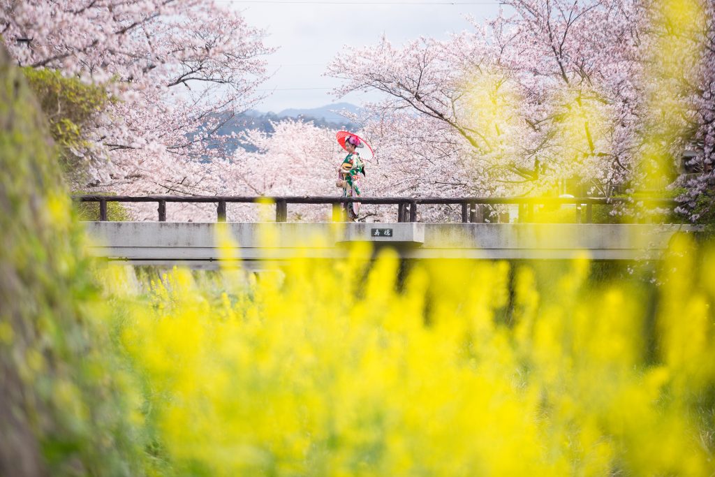 山口市　成人式